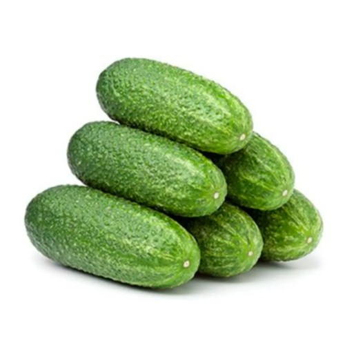 PEPINO KG