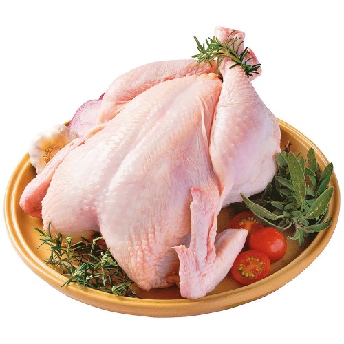 CARNE DE AVE FRANGO KG