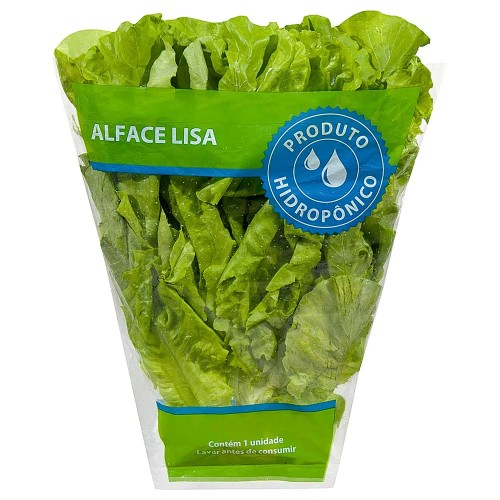 ALFACE HIDROPONICA UN