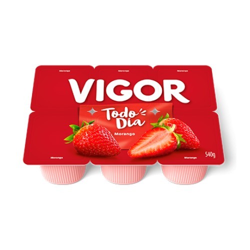 BEB LAC FERM TODO DIA MORANGO VIGOR 510G