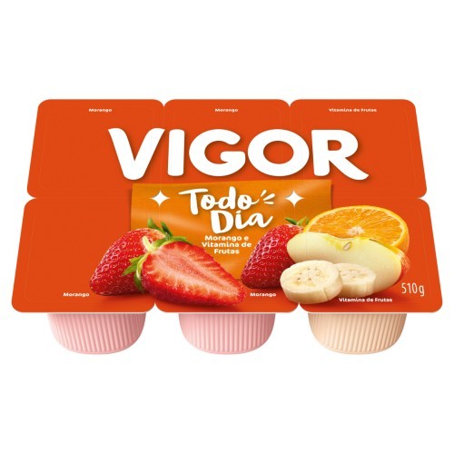 BEB LAC FERM TODO DIA FRUTAS VIGOR 510G