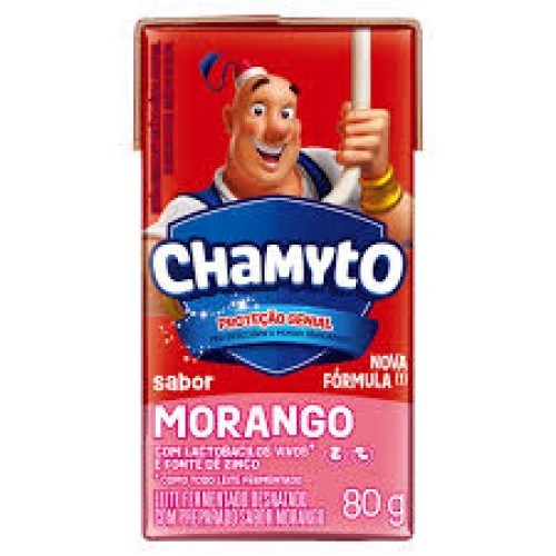 LEITE FERM DESNAT MORANGO CHAMYTO 480G